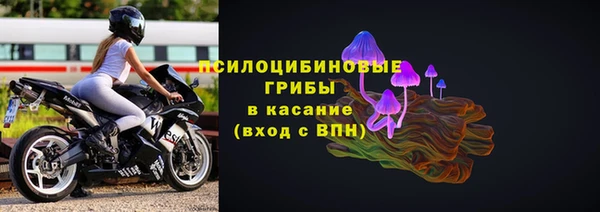 шишки Алексеевка